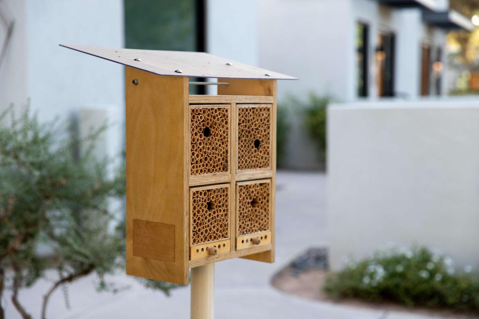 Andaz Scottsdale Resort & Bungalows エクステリア 写真