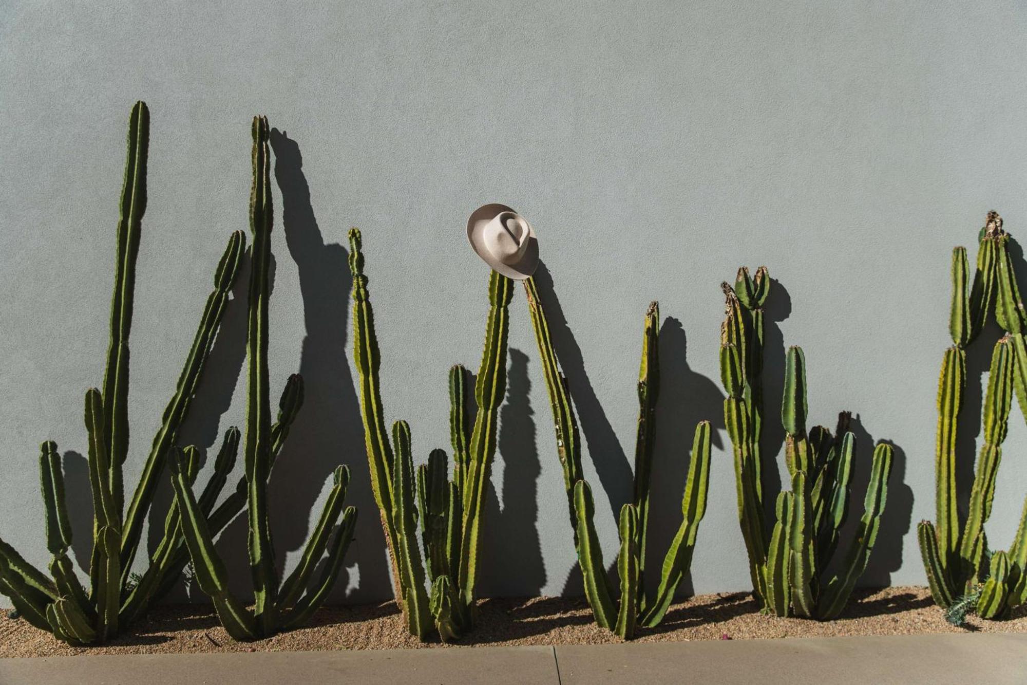 Andaz Scottsdale Resort & Bungalows エクステリア 写真